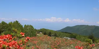 信州須坂６月の"花いっぱい"おでかけプラン