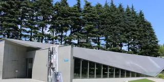 アートを満喫、ゆっくり過ごす大人の六本木散歩