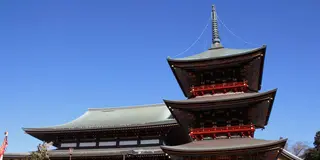 千葉成田佐倉エリア。印旛沼周辺で遊ぼう！雨に負けるな！ドロドロバギー体験と成田山、印旛沼周辺観光。