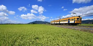 出雲大社と松江を電車に乗って堪能する旅。