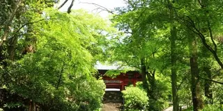 鎌倉・北鎌倉のお気に入り