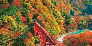 富山完全満喫。黒部峡谷と立山アルペンルート