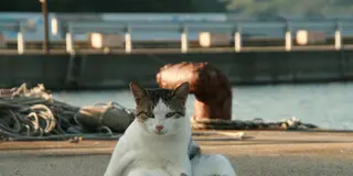 石巻ってどうなんだ？？