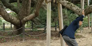 Re BORN @川棚温泉