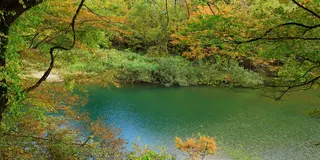 6月の秋田で自然を満喫🍃