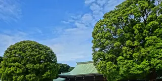 【原宿〜青山】手をつないでのんびり散策。大人向けデートプラン。