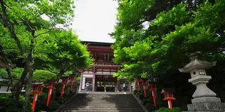 夏の京都でいい汗かこう！