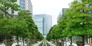 横浜のんびりデート