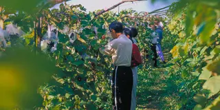 ～足利尊氏発祥の地を訪れる～／栃木県足利市
