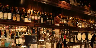 新橋・銀座の良いとこ取り飲み歩きツアー♪