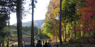 奥琵琶湖を満喫！木之本と鶏足寺の紅葉散策道をまったり散策