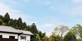 埼玉が誇る、和と北欧のダブルで楽しめる美しい景観お出かけプラン！