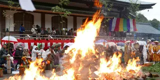 岐阜の節分に参戦しよう！