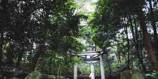 【京都】右京区のフォトジェニックなおでかけスポット📷🚶