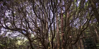 神話とパワスポと古民家と。元気をもらいに高森町へ。