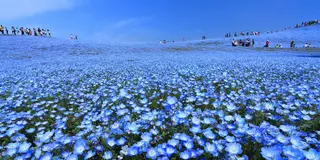 家族で楽しめる茨城満喫ツアー