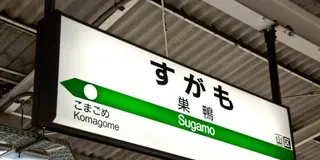 花見の季節