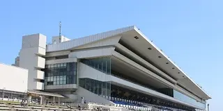 【京都市編】穴場！家族で京都競馬場ピクニック！