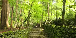 京都寺社巡りの巻