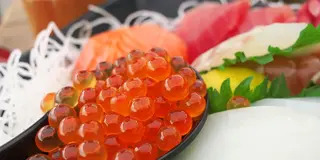 魚太郎で刺し身を食べて、ぽんカフェでひと休み。