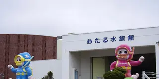 カンナムスタイル　ならぬ　オタルスタイル