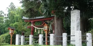 鶴ヶ島