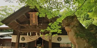 新潟といえば越後の龍、上杉謙信！