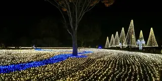 名古屋と岐阜のイルミネーションスポット巡り2017