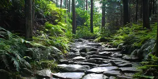 尾鷲