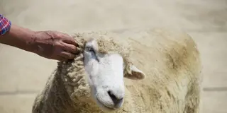 初めてのデートにおすすめのスポット7選！大阪で初めての相手とデートするならここに行けば間違いなし！