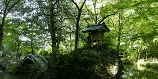 三重県員弁で紅葉の名刹と三岐鉄道と温泉を巡る日帰り旅