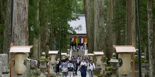 宿坊に泊まって高野山を楽しみ尽くす旅