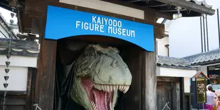 長浜城と黒壁スクエアの町を歩き倒してみる