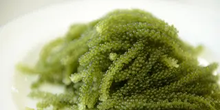 車エビだけじゃない！グルメアイランド久米島を丸ごと食べる旅