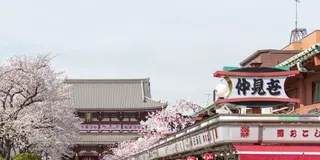 浅草近辺 御朱印巡り