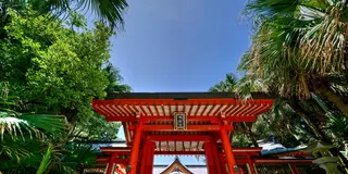 【宮崎恋旅♡】夏の出会いは突然に！青島・日南エリアで南国の神々が縁を取り持つ恋愛成就の旅！