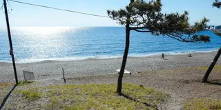 【おひとりさま葉山ぶらり旅プラン】ぼーっとするのに最高な海辺の街です！