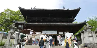 金刀比羅宮に立ち寄り、四国八十八ヶ所満願を目指す旅
