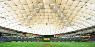 夫婦2人で行く東京ドーム観戦