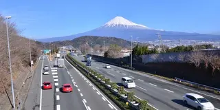 沼津から箱根うみやま探訪