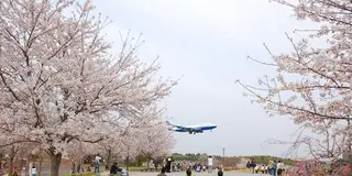 千葉県 成田空港周辺　飛行機ビュースポット！！