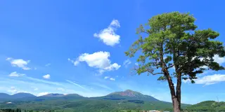 霧島連山のふもとで ゆったりのんびり
