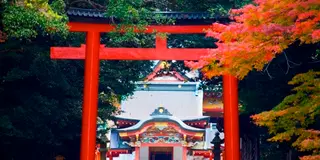 【霧島市】ドライブ日帰り旅