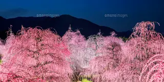 三重
