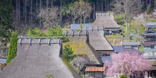 まだ見ぬ京都へ！京都・美山町での過ごし方