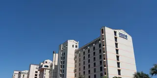 【鳴門】おすすめスポットまとめ