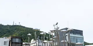 【徳島】歴史とアートを堪能！ぶらり1人旅🚶‍♀️