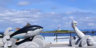 🍣マグロ🍣鮪🍣maguro🍣黒いダイヤを求めマグロ食べ放題の青森へ