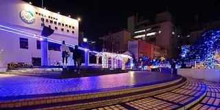大分都心  府内町&中央町＆都町飲み歩きナイトツアー