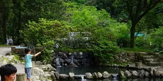 のんびりうきはの里山遊び